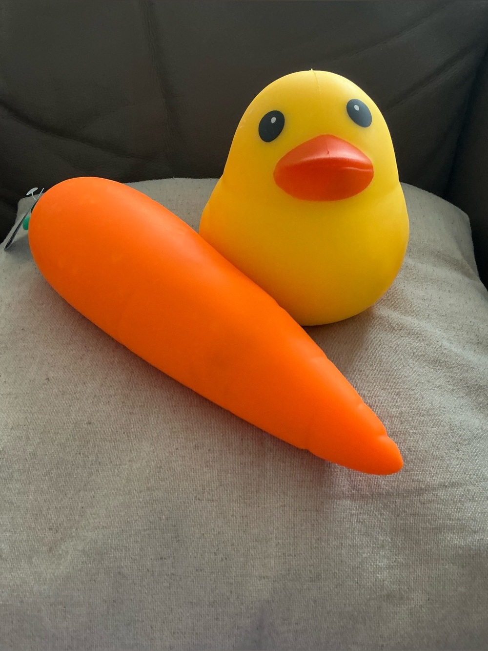 Squishy Bundle: Yellow Duck and Large Carrot